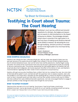 Testifying in Court about Trauma: The Court Hearing The National