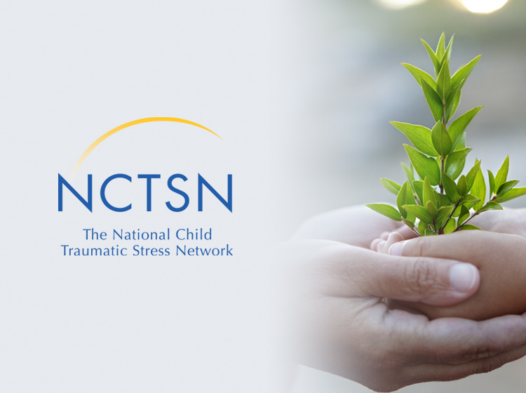 The National Child Traumatic Stress Network |